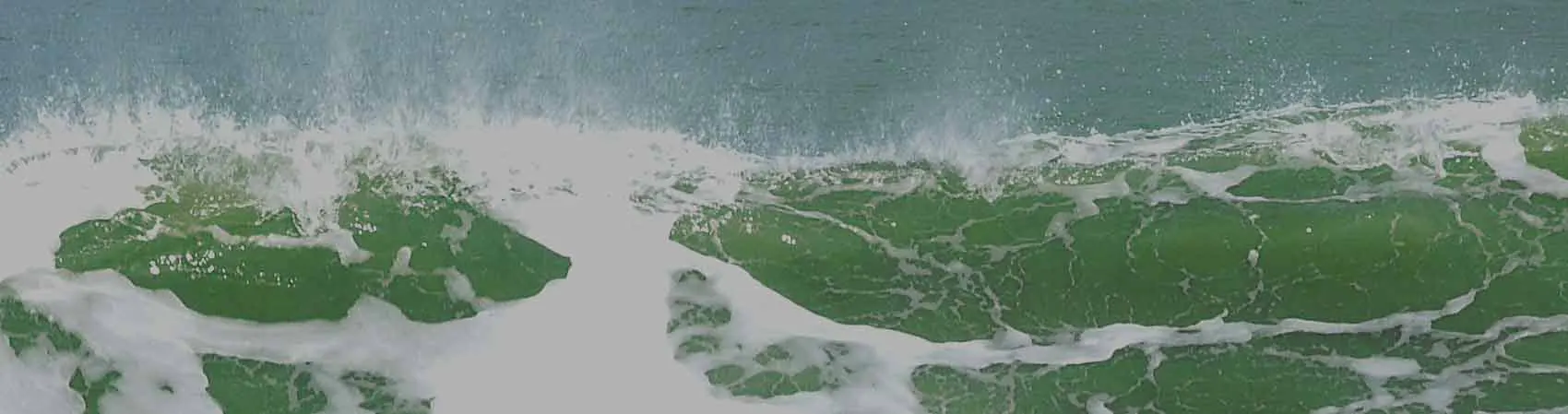 Hotel en Miramar. El Hotel Danieli lo espera en sus vacaciones